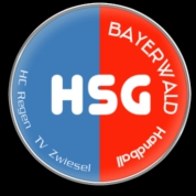 Logo HSG Bayerwald.png